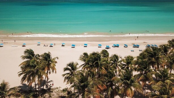 Une plage avec une eau turquoise et limpide, des palmiers et des parasols.