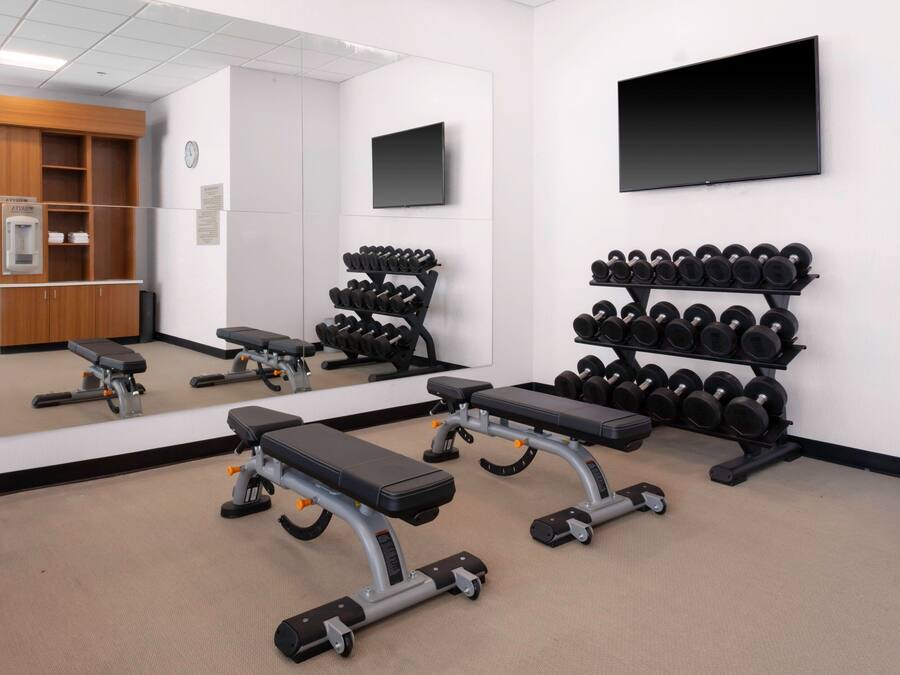 A gym with weight benches, a mirror, a TV, and a rack of dumbbells.