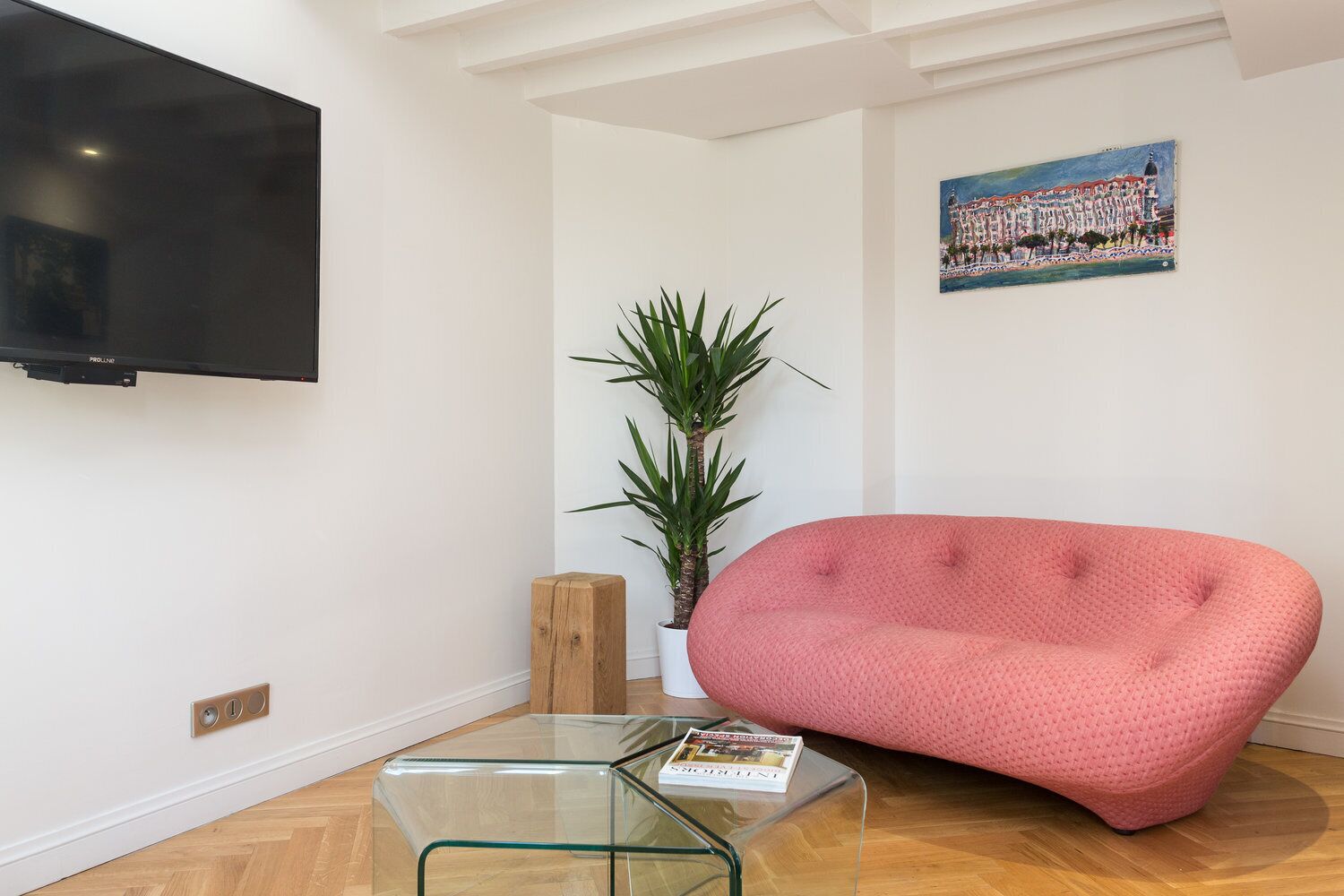Un salon moderne avec un téléviseur à écran plat, une table basse en verre, un canapé rose, une plante en pot et un tableau accroché au mur.