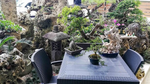 A table with chairs in a garden setting with rock formations and potted plants. - Room Biotop YOMITAN (Yomitan)