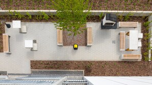 Terraza en la azotea con un área de estar central, rodeada de macetas y un árbol.