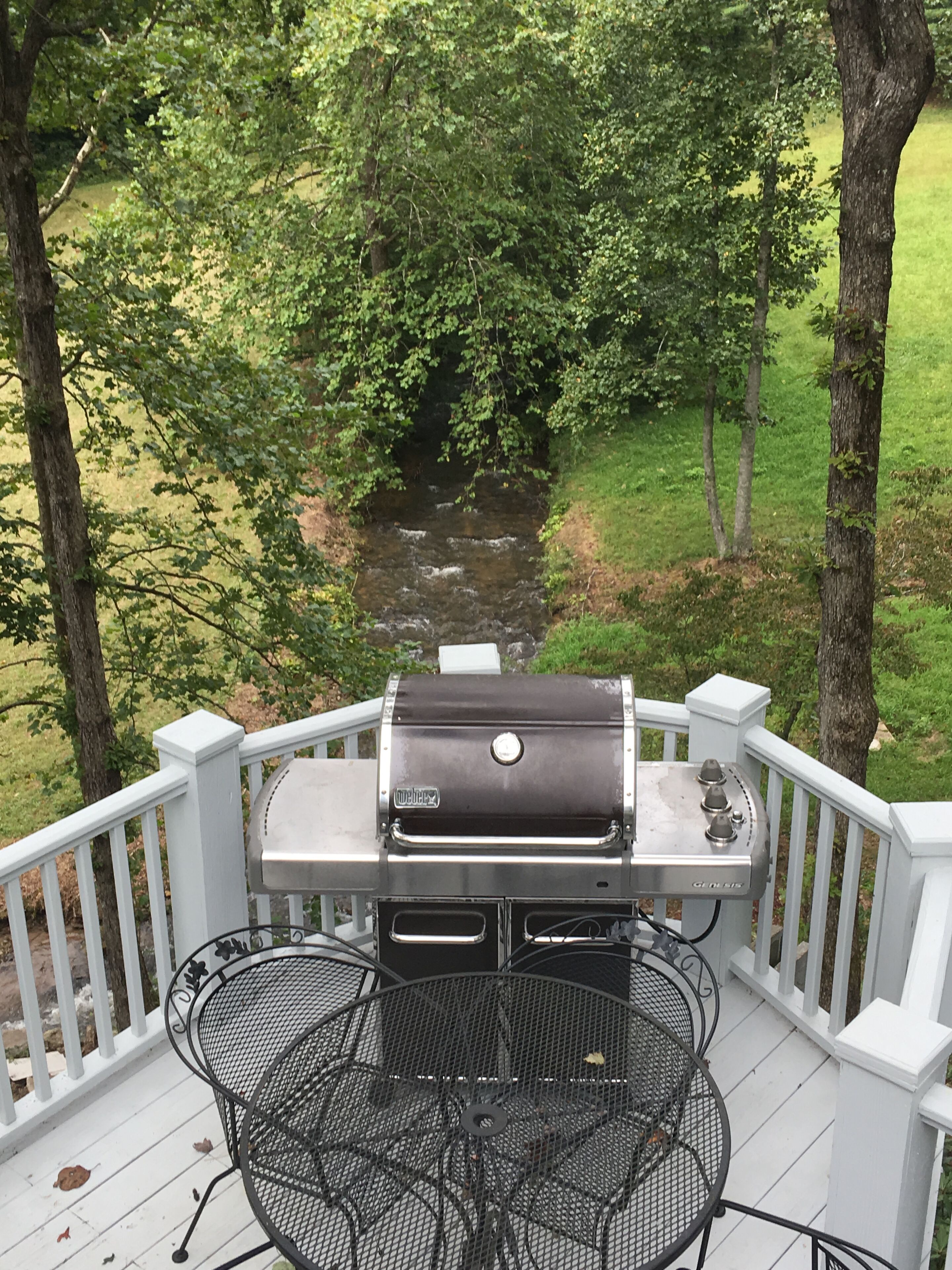 Une terrasse avec un barbecue et une table, entourée d’arbres et offrant une vue sur un ruisseau.