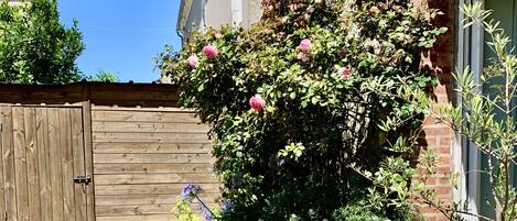 Àrea exterior de l'allotjament