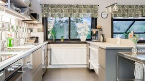 A modern kitchen with stainless steel appliances, a window with a view of greenery, and a radiator.