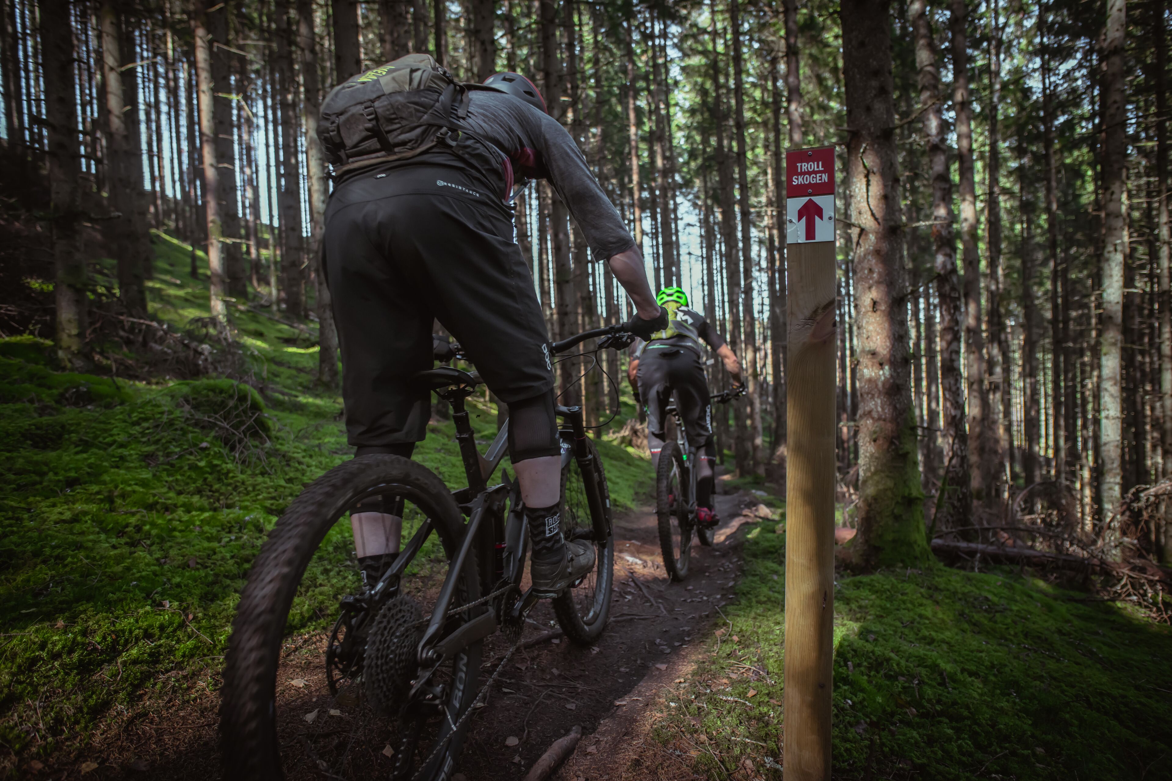 Two mountain bikers on a forest trail with a sign indicating a troll skog direction.