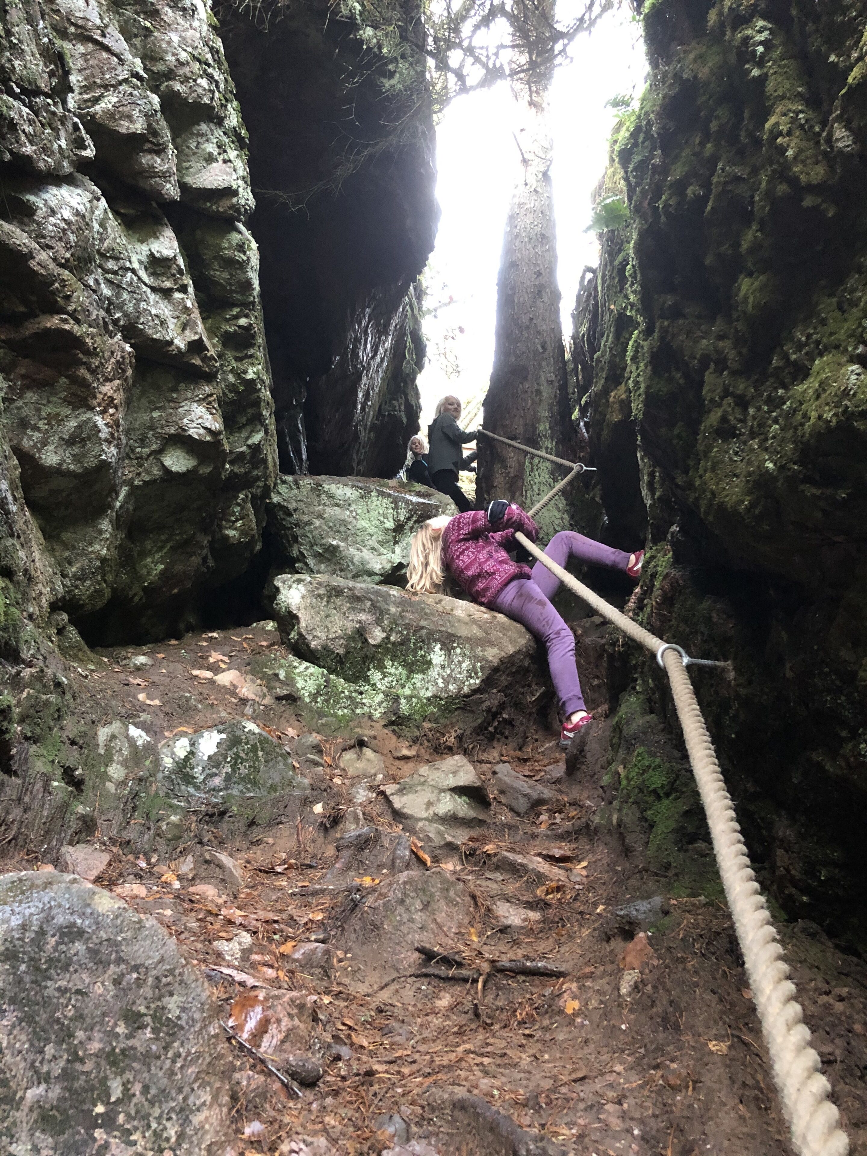 A person lying on a rope bridge in a rocky, forested area.