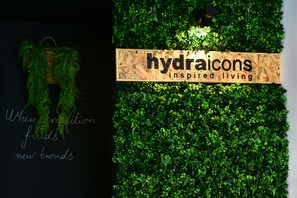 Reception - Hydra Icons (Hydra)