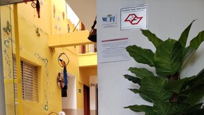 Zona de menjador amb taula i cadires, una planta gran en test i un cartell que prohibeix fumar.