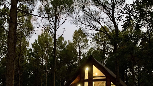Una cabaña con ventanas amplias y techo inclinado, rodeada de árboles altos.