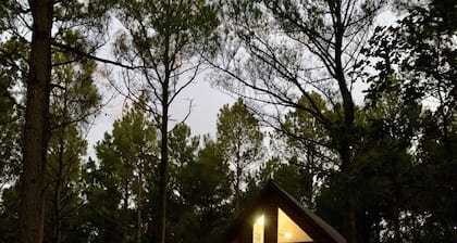 Rowdy Coyote 🐺 Luxury Cabin-ZipLine-Arcade-Foosball-HotTub-FirePit-Gas Grill