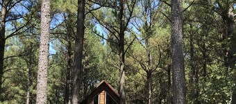 Rowdy Coyote 🐺 Luxury Cabin-ZipLine-Arcade-Foosball-HotTub-FirePit-Gas Grill