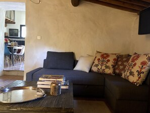 Télévision, cheminée, livres