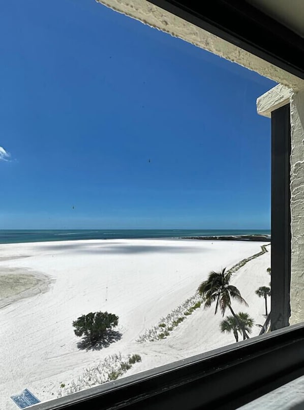 A beach view from a window with a clear sky, sandy beach, and palm trees.