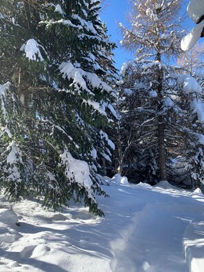 Parco della struttura