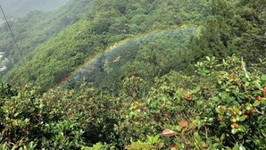 A lush, green mountainous landscape with dense vegetation and a visible rainbow. - Oceanfront condo with stunning views. Oahu’s last best kept secret (Waianae)
