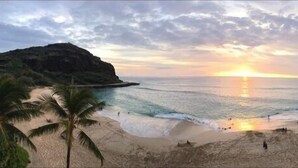 A beach with palm trees and a sunset. - Oceanfront condo with stunning views. Oahu’s last best kept secret (Waianae)