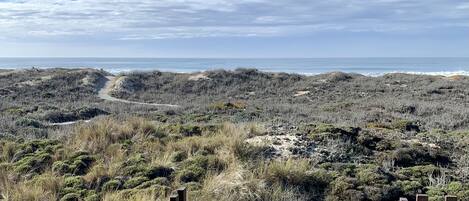 A coastal landscape with a sandy path leading to the beach, surrounded by dense shrubbery.