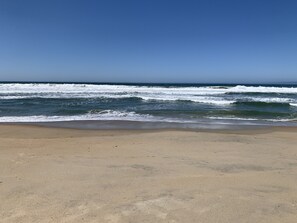 Ubicación a pie de playa, tumbonas y toallas de playa