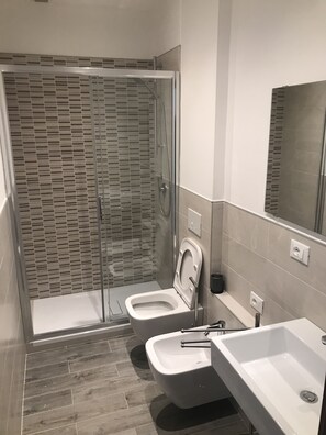 Shower, hair dryer, bidet, towels