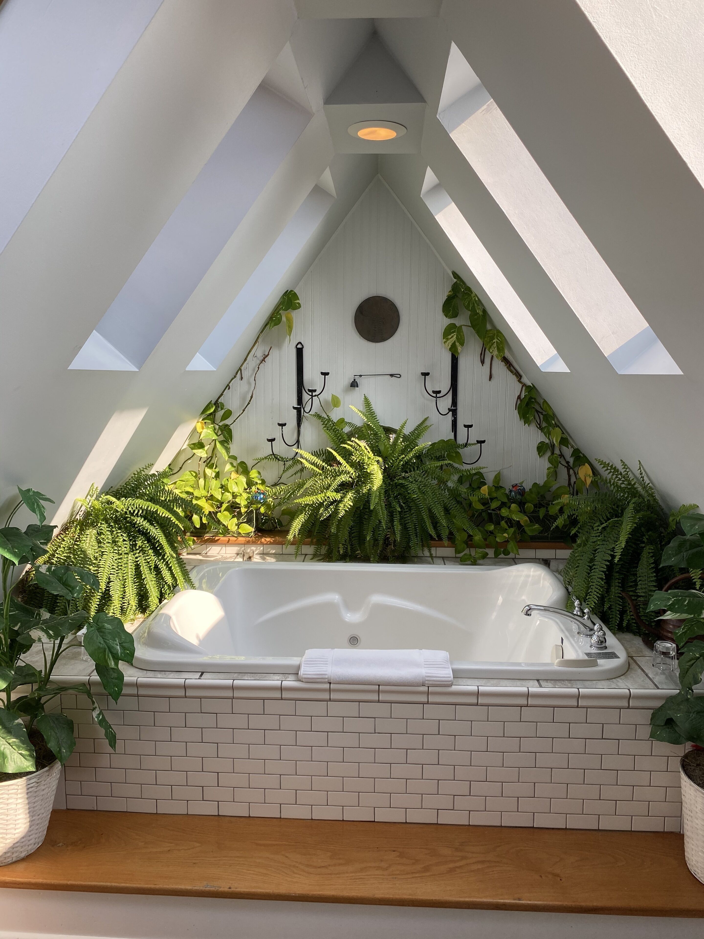 Un baño moderno con una bañera independiente, tragaluces y diversas plantas.