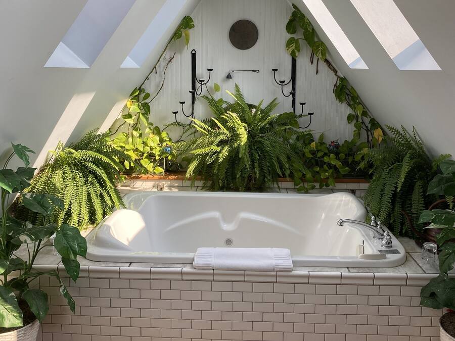 Un baño moderno con una bañera independiente, tragaluces y diversas plantas.