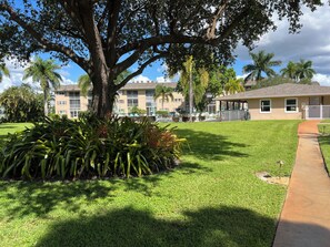 A well-maintained lawn with a large tree, a clear sky, and a building with multiple windows and balconies.