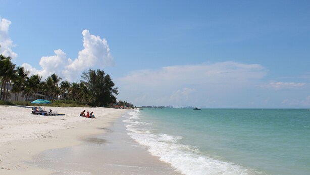 A beach with clear turquoise water, palm trees, and a few people relaxing.