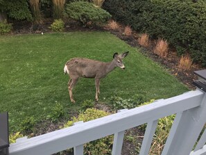 Unterkunftsgelände