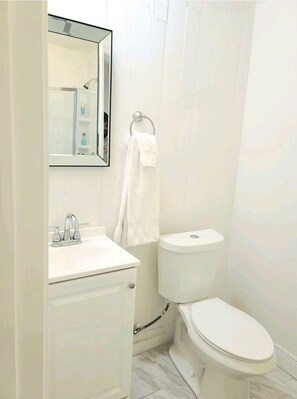 Hair dryer, towels, soap, shampoo