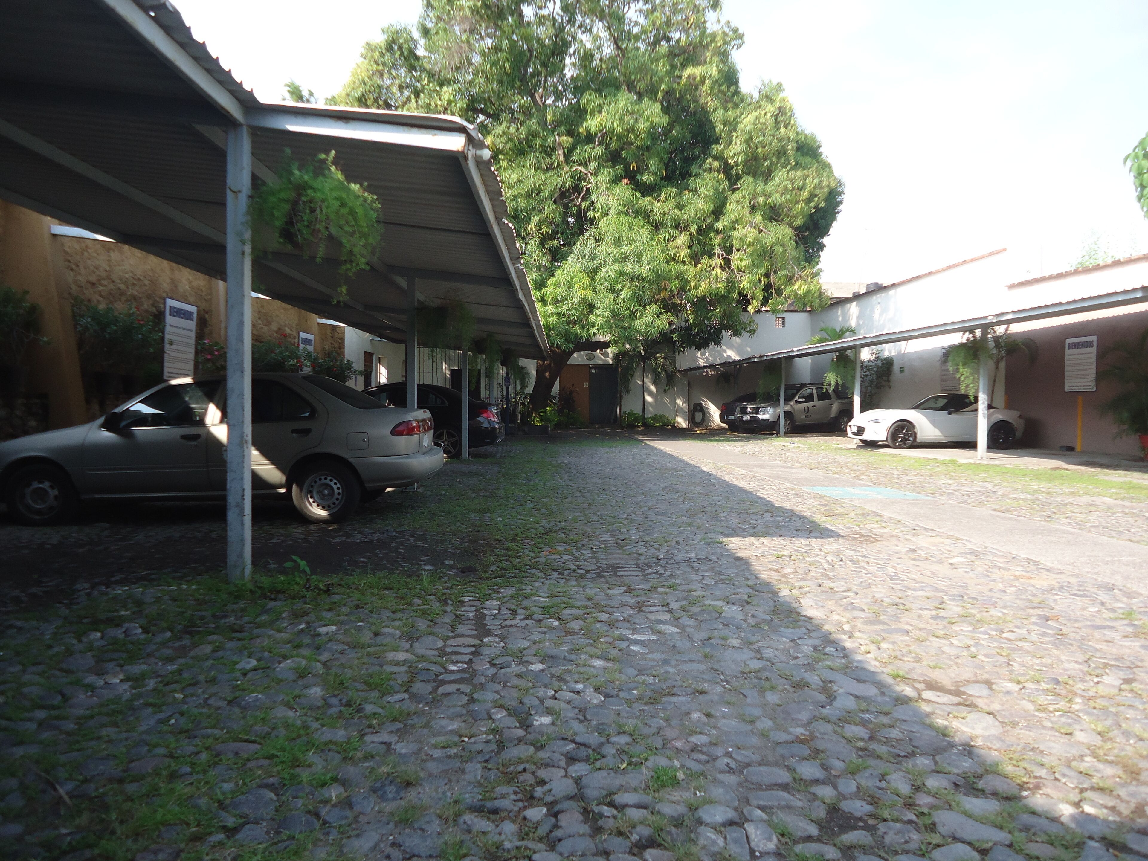 A cobblestone driveway leading to a covered parking area with several cars parked.