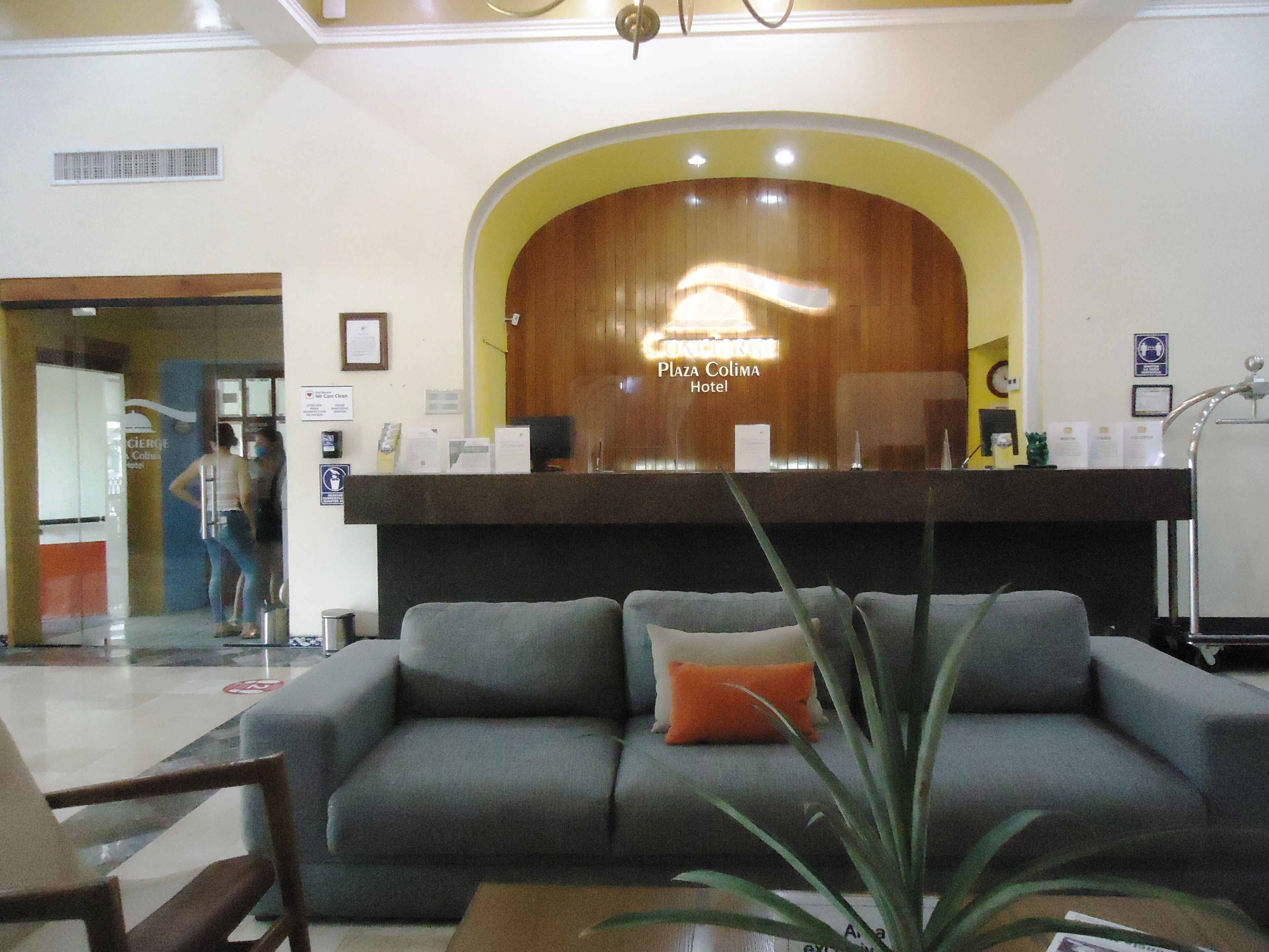 A hotel reception area with a wooden reception desk, a grey sofa with an orange cushion, and a plant in the foreground.