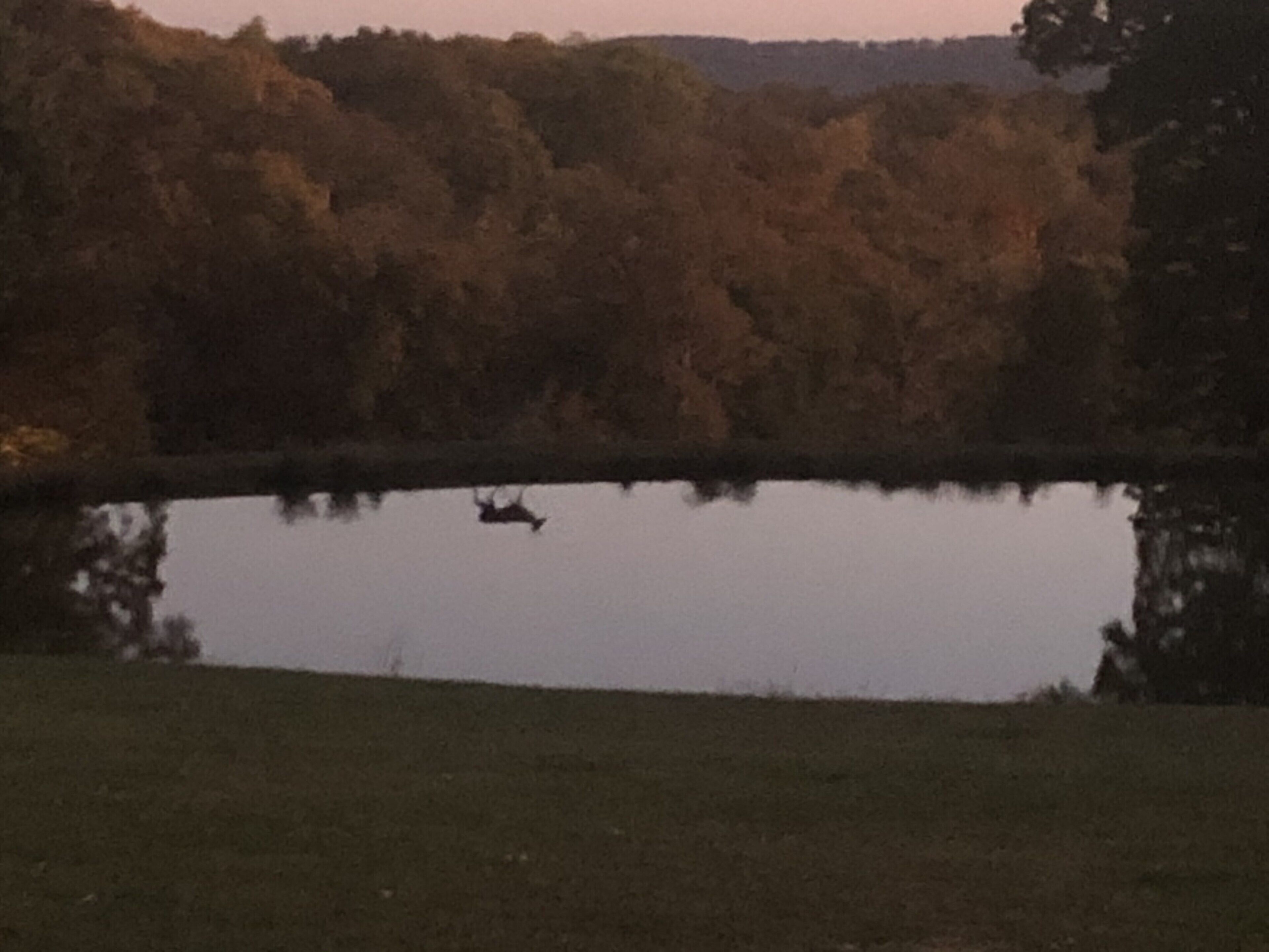 A calm lake with a boat in the center, surrounded by dense trees and a grassy foreground.