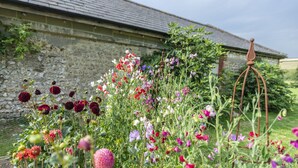 A garden with a variety of flowers in front of a stone building. - Manor Farmhouse, Cruxton, Dorchester (Cruxton)