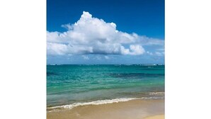 A beach with clear turquoise water and a sandy shore. - Enjoy Paradise-"AQUATIKA" Beach Front-5 POOLS!! UNIT WITH WATER RESERVE SYSTEM!! (Loiza)