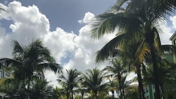 A resort pool area with palm trees, a clear sky, and a building in the background. - Enjoy Paradise-"AQUATIKA" Beach Front-5 POOLS!! UNIT WITH WATER RESERVE SYSTEM!! (Loiza)