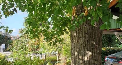 Ferienwohnung Ulinde