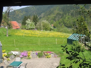 Appartement (Haus Schneider, Ferienwohnung Talblic) | Exterieur