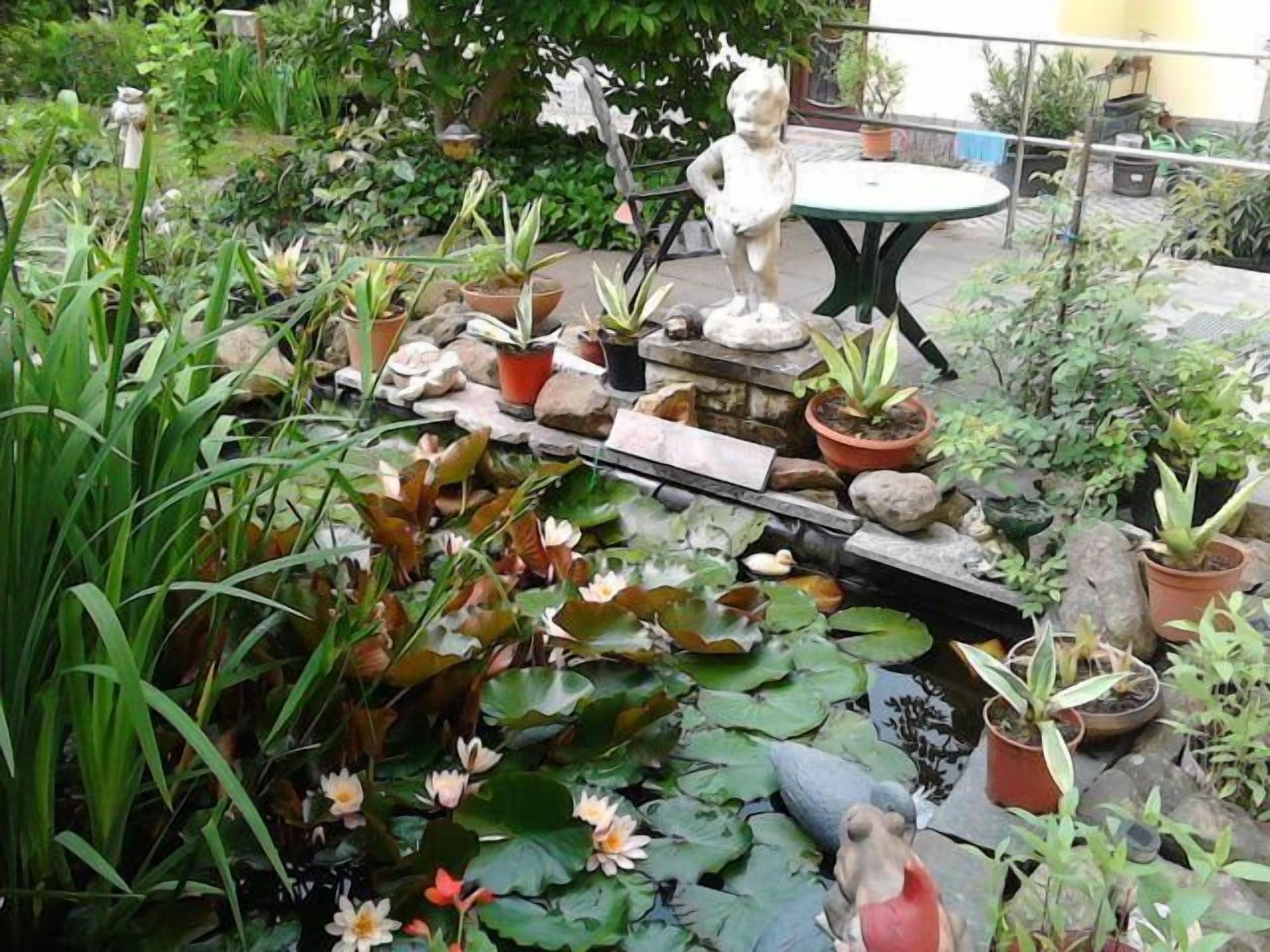 Apartment (Ferienwohnung der Familie Thierse) | Unterkunftsgelände