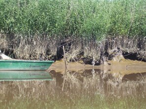 Căn hộ (Haus Lotte Wohnung 2) | Ngoại thất