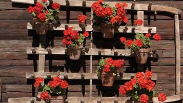 Apartment (Studio Maxi ) | Außenbereich