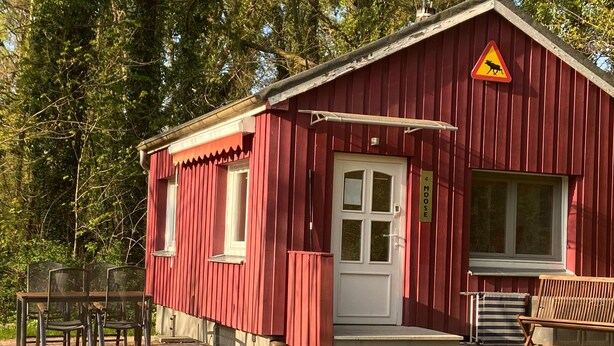 En röd byggnad med en vit dörr, en bänk och en skylt som visar att det finns en plats där älgar brukar korsa vägen.