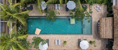 Outdoor pool, sun loungers