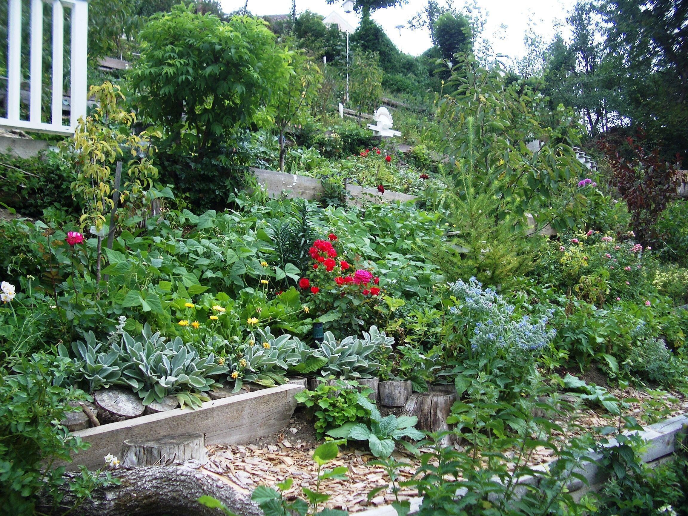 Apartment (Goolden) | Property grounds