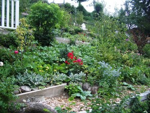 Apartment (Goolden) | Property grounds - Goolden (Bromberg)