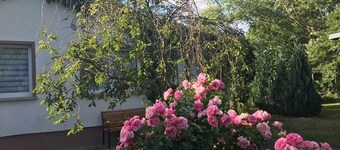 Ferienhaus an der Selke