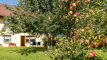 Apartment (Apartment mit Balkon) | Property grounds