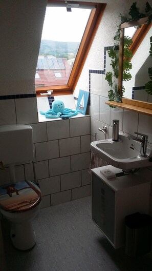Apartment (Ferienwohnung  Panoramablick) | Bathroom