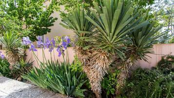 Apartment (Andreas - App. Maria) | Property grounds