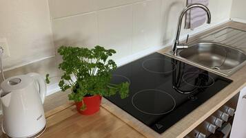 Apartment (Ferienwohnung Drachennest ) | Private kitchen | Fridge, cookware/dishes/utensils