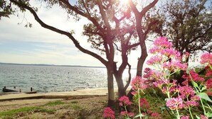 A coastal landscape with trees and pink flowers, a concrete path, and a body of water in the background. - Apartment Vlahov (Barilovic)